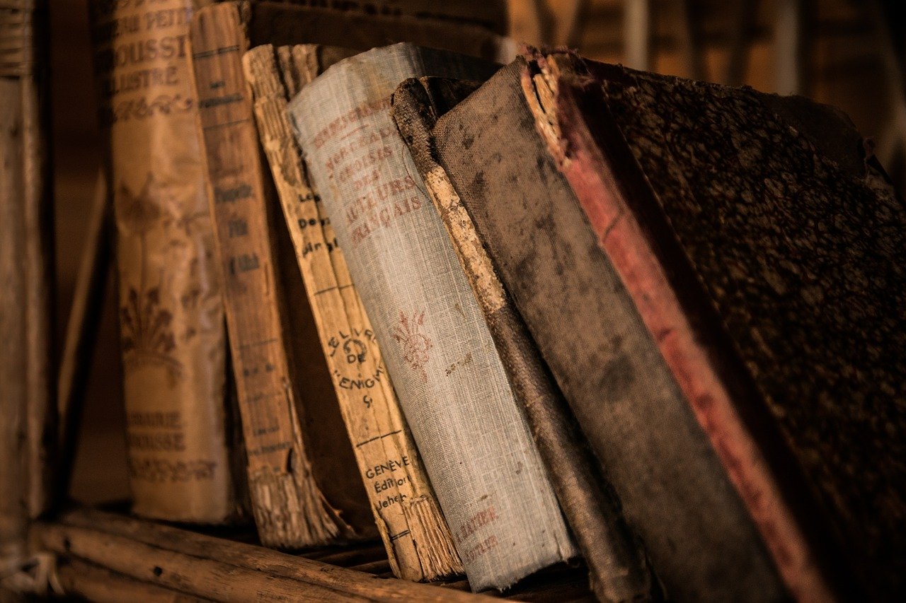 Jak urządzić biblioteczkę w salonie